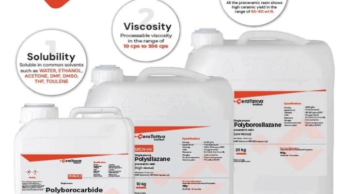 Preceramic precursors